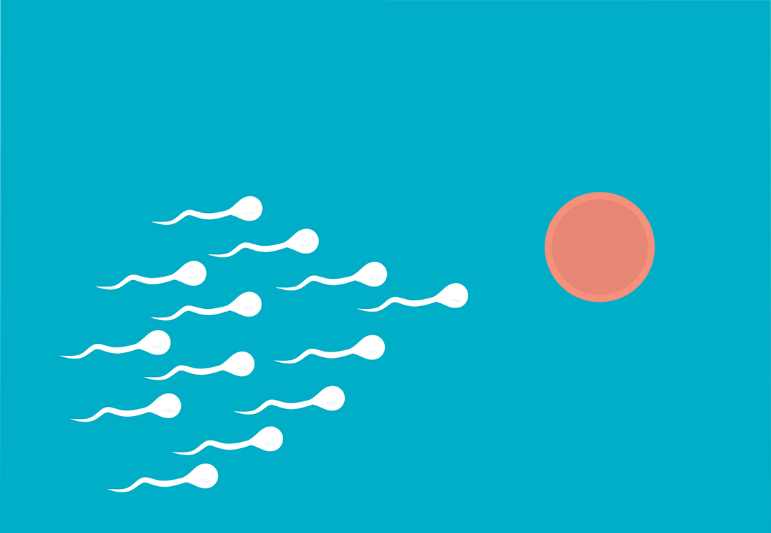 Precum & Pregnancy: Chances of Getting Pregnant from Precum